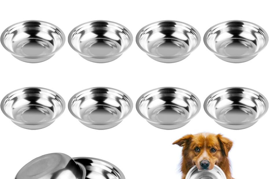 Ultimate Review: 12 Stainless Steel Dog Bowls for Happy, Healthy Pets!