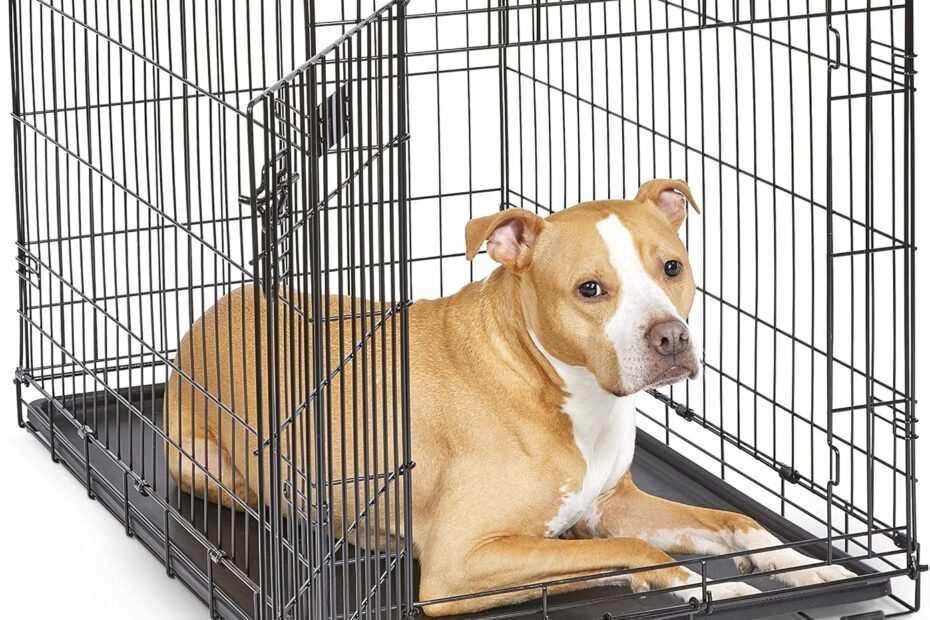 Ultimate Review: MidWest Homes iCrate - The Perfect Home for Your Dog!