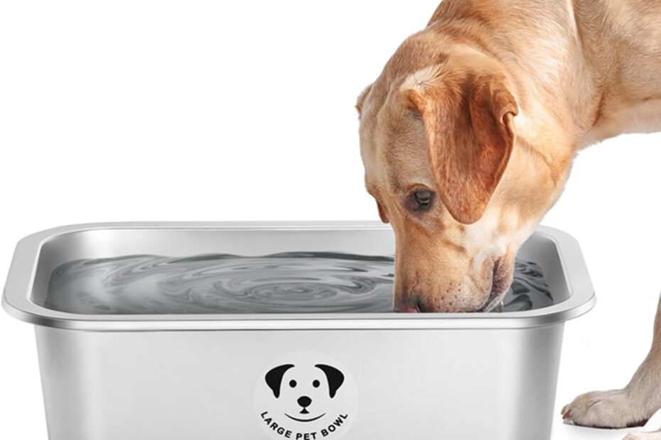 Ultimate Stainless Steel Dog Bowls: The Perfect Choice for Large Breeds!