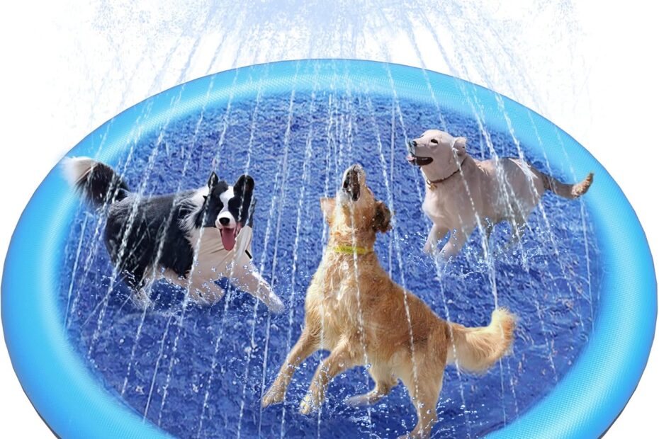 Ultimate Summer Fun: Review of the Peteast Splash Pad for Dogs & Kids