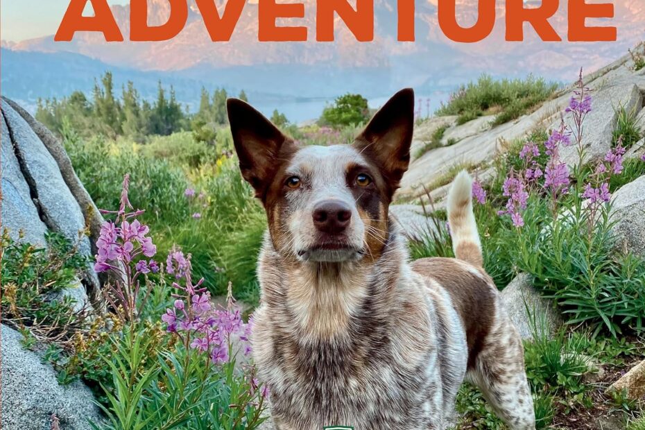 Unleash Adventure: Heartwarming Tales of Camping with Dogs