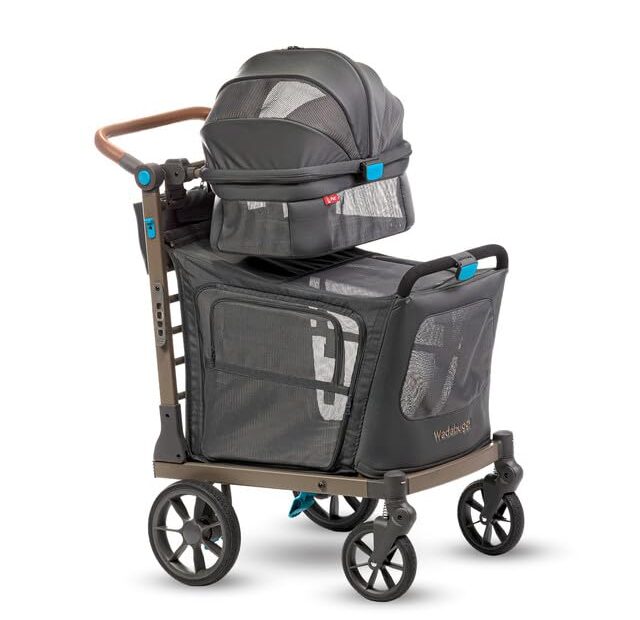 Unleash Adventure: Review of the Pet Two Foldable Cart for Small & Medium Pets