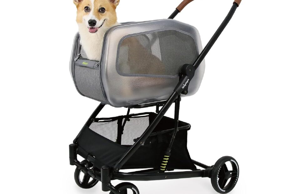 Unleash Adventure: The ibiyaya NeoRider Pet Stroller Review