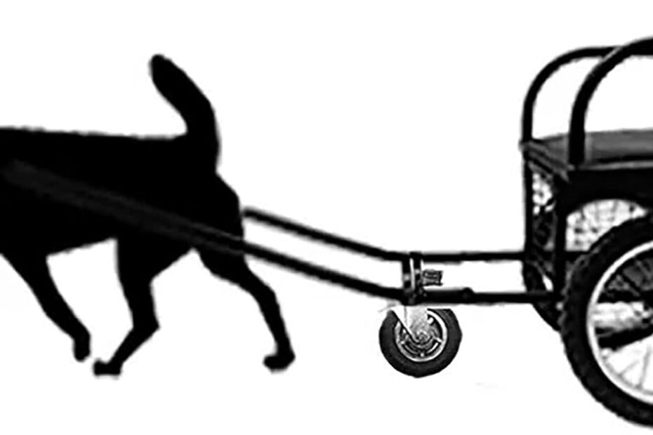 Unleash Adventure: The Ultimate Dog Pulling Cart for Active Pet Owners!