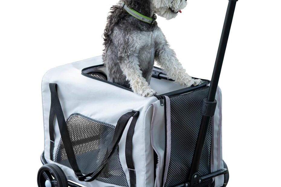 Unleash Adventure: Ultimate Review of the 2-in-1 Dog Stroller & Carrier!