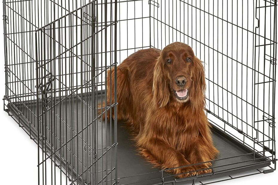 Unleash Comfort: The Ultimate 42-Inch New World Dog Crate Review