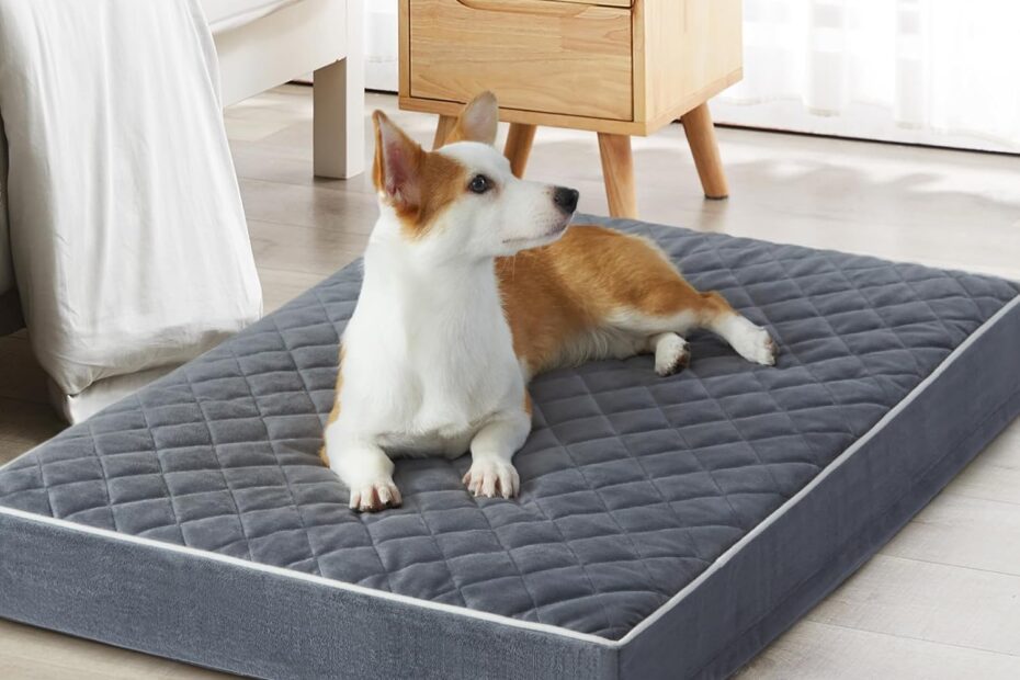 Unleash Comfort: The Ultimate XXL Orthopedic Dog Bed Review!