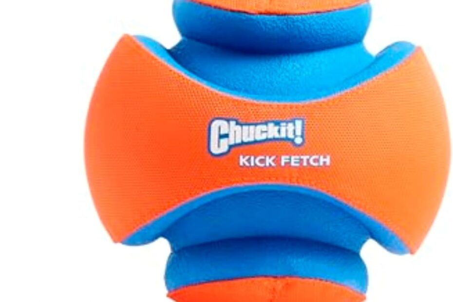 Unleash Fun: Review of the Chuckit! Kick Fetch Ball for Active Dogs