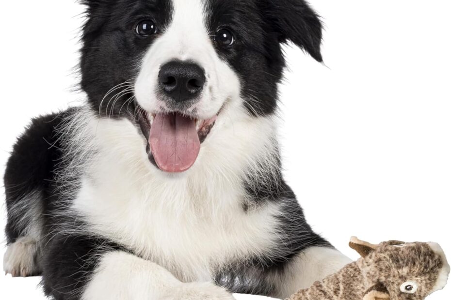 Unleash Fun: Review of the SPOT Skinneeez Extreme Quilted Squirrel Dog Toy
