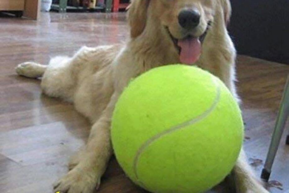 Unleash Fun: The Giant 9.5" Dog Tennis Ball for All Pups!