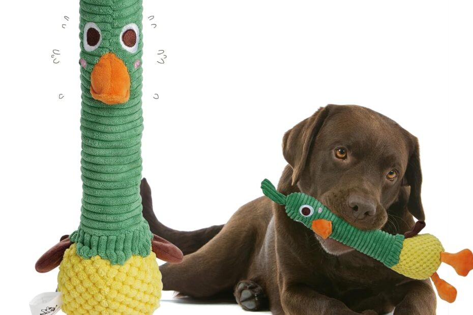 Unleash the Fun: Nocciola 2-in-1 Duck Toy Review for Aggressive Chewers
