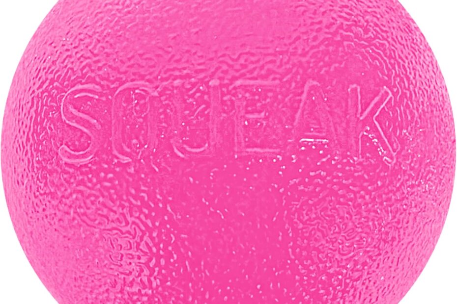 Unleash the Fun: Outward Hound Squeak Ball Review for Playful Pups!