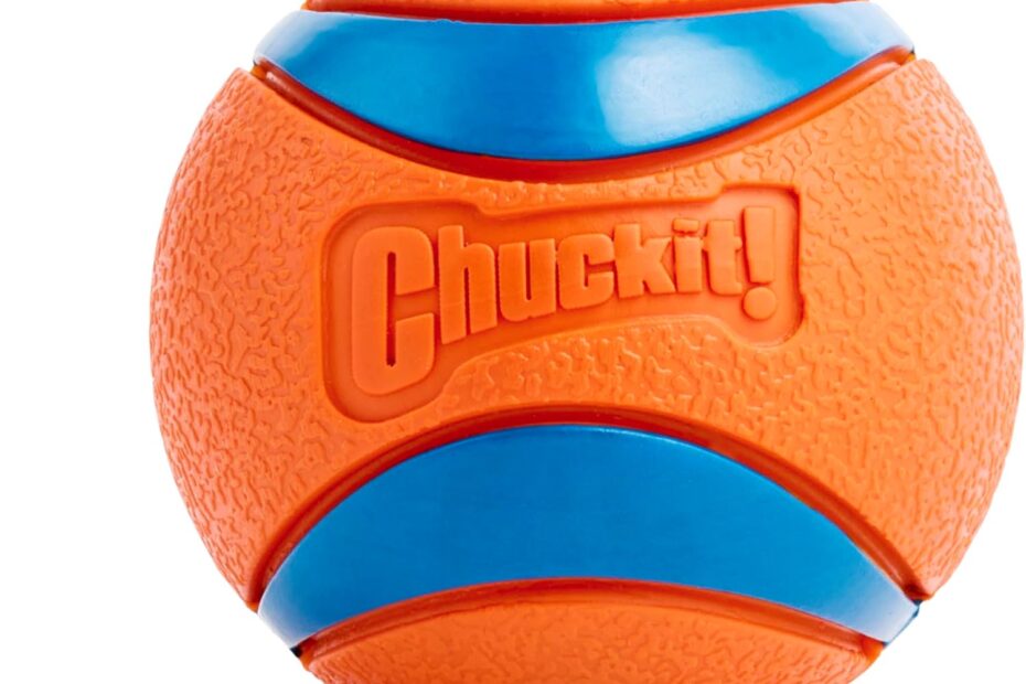 Unleash the Fun: Review of Chuckit! Ultra Ball for Big Dogs!