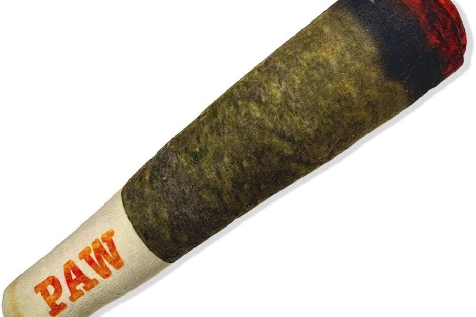 Unleash the Fun: Why the Doggy Doobie is the Perfect Toy for Your Pup!