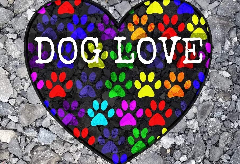 Unleash Your Passion: The Ultimate Dog Walking Journal Review