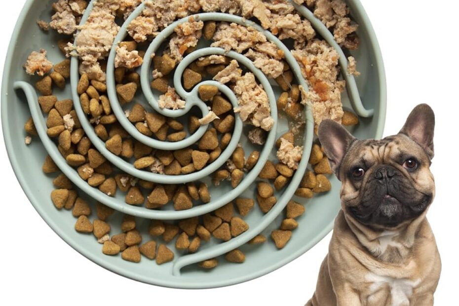 Unlock Interactive Eating: Review of the Non-Slip Slow Feeder Dog Bowl!