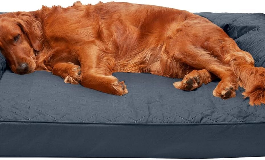 Unwind in Comfort: The Ultimate Review of Furhaven Orthopedic Dog Bed for Large Dogs