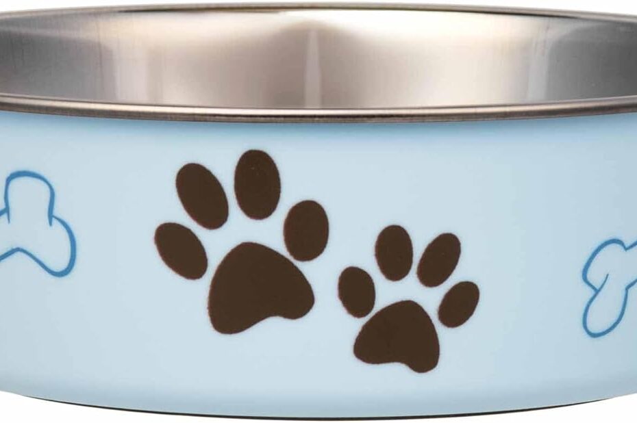 Upgrade Mealtime: Loving Pets Bella Spill Proof Bowls for Dogs and Cats
