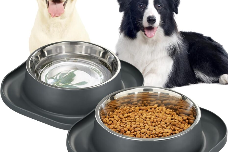 Upgrade Mealtime: Review of the Ultimate 2PACK Stainless Steel Dog Bowls!