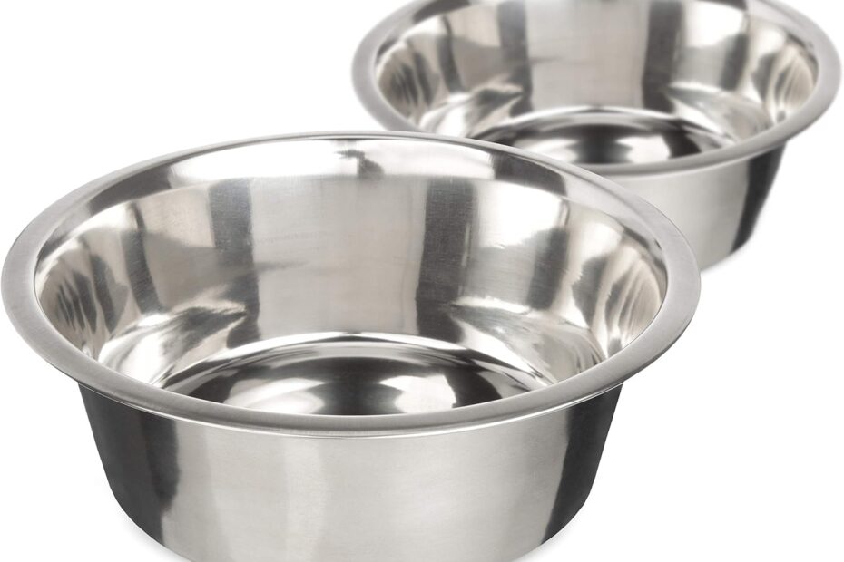 Upgrade Your Pet's Dining: Neater Pet Brands Stainless Steel Dog Bowls Review
