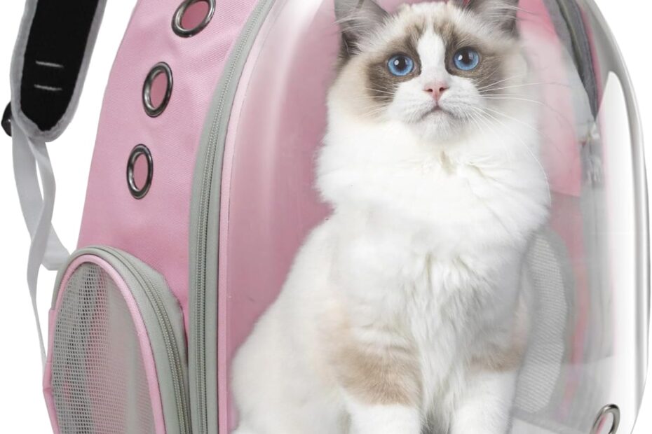Adventure Awaits: Review of the Airline Approved Bubble Cat Backpack