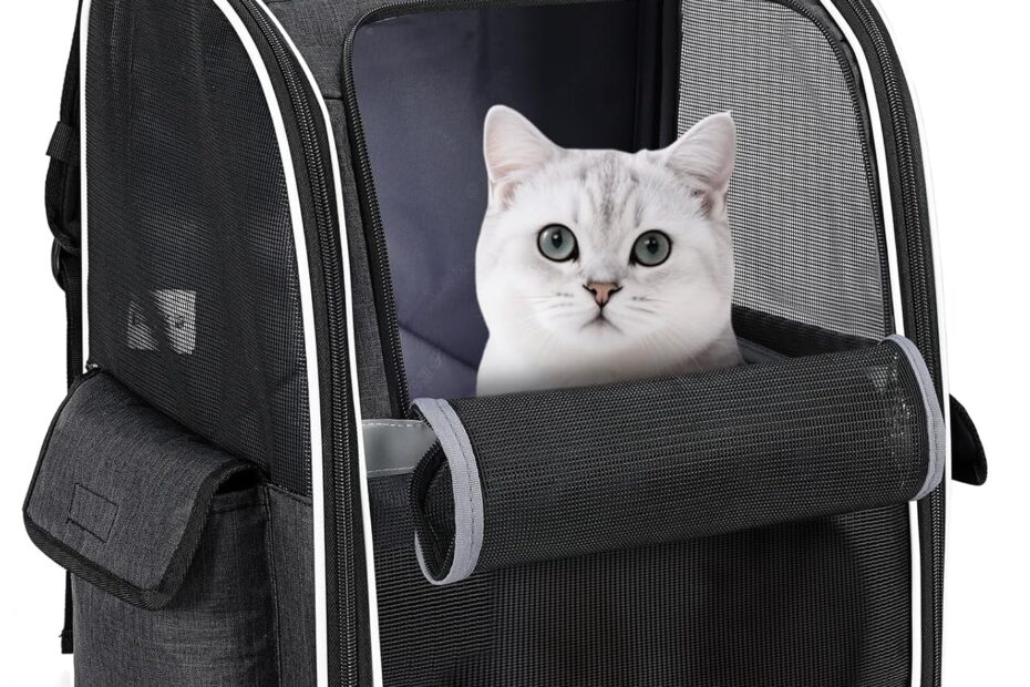 Adventure Awaits: Review of the Lekereise Cat Backpack Carrier