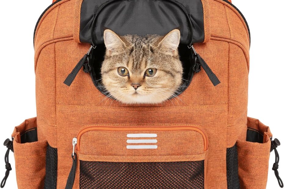 Adventure Awaits: Review of the ROCKBROS Bike Dog & Cat Carrier Backpack