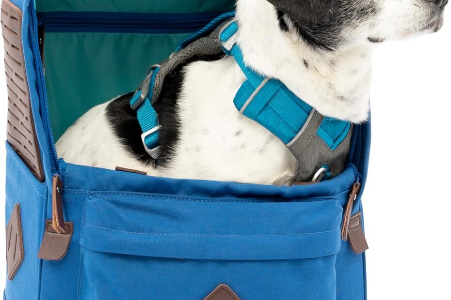 Adventure Awaits: The Kurgo Nomad Dog Carrier Backpack Review