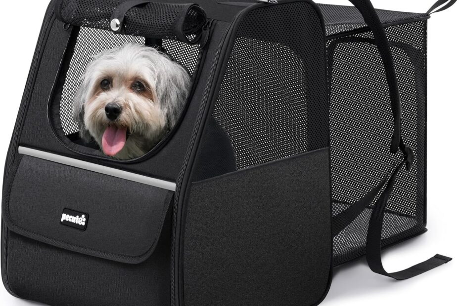 Adventure Awaits: The Pecute Expandable Cat Backpack Carrier Review