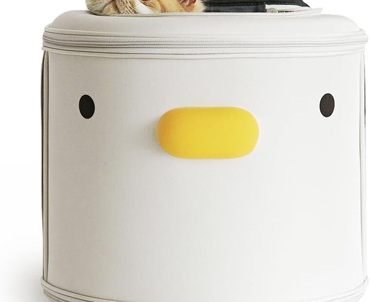 Adventure Awaits: The PURROOM Cat Carrier Backpack Review for Pet Lovers!