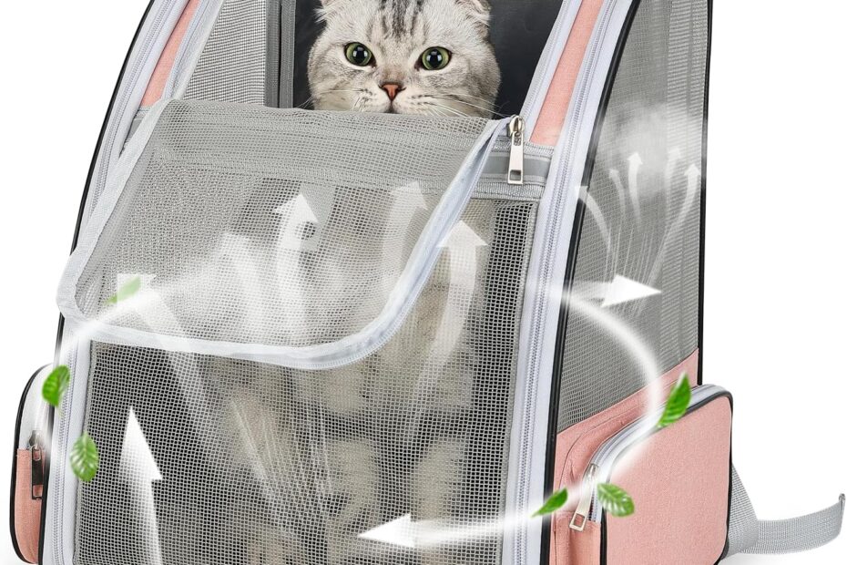 Adventure Awaits: The Ultimate Cat & Small Dog Backpack Carrier Review!