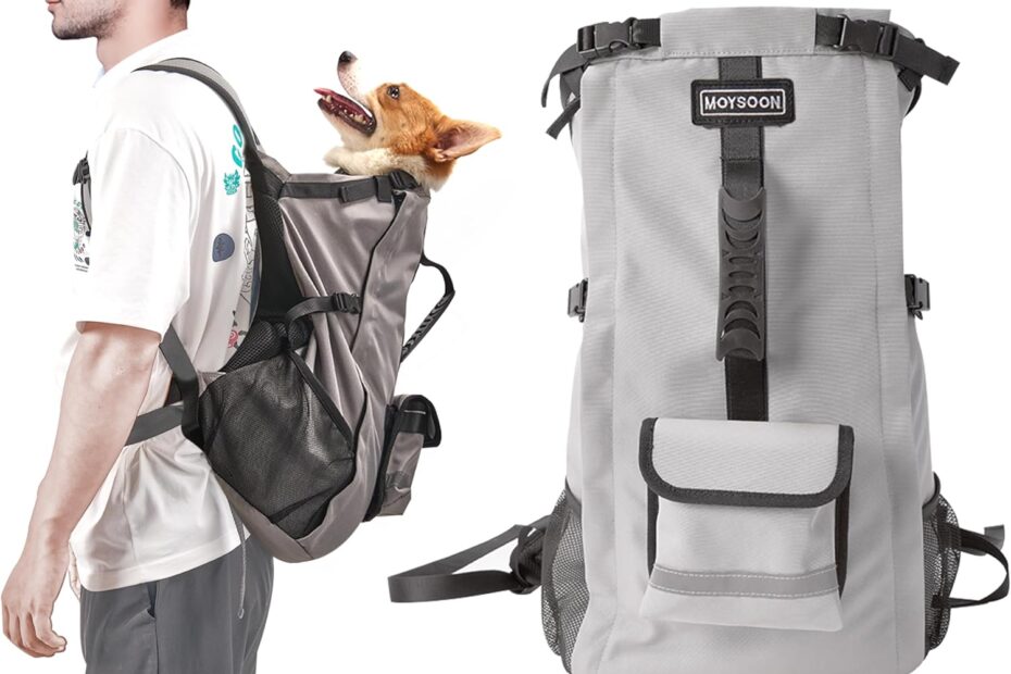 Adventure Awaits: The Ultimate Dog Backpack for Small & Medium Dogs