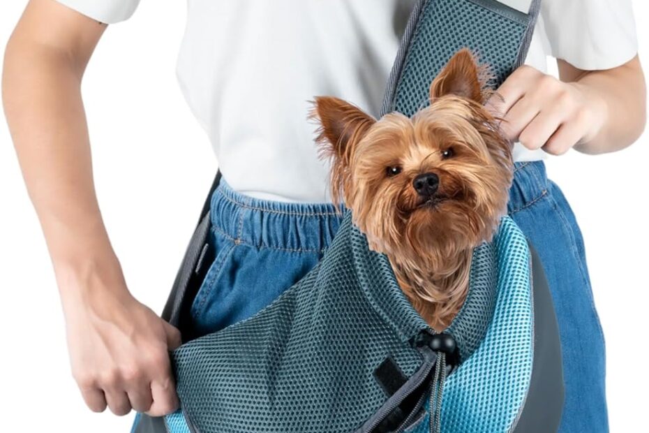 Adventures Await: Review of the Dury Dog Backpack Carrier for Small Dogs