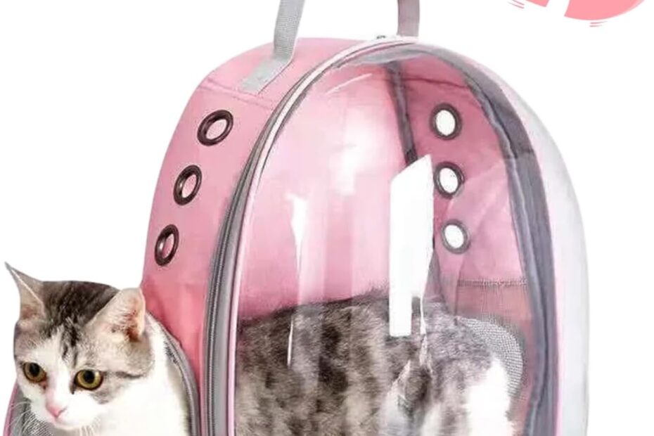 Adventurous Travels: The Ultimate Cat Backpack Bubble Review!