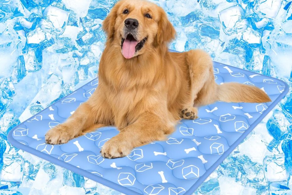 Beat the Heat: A Review of the Rywell Dog Cooling Mat 2.0 for Extra Large Dogs
