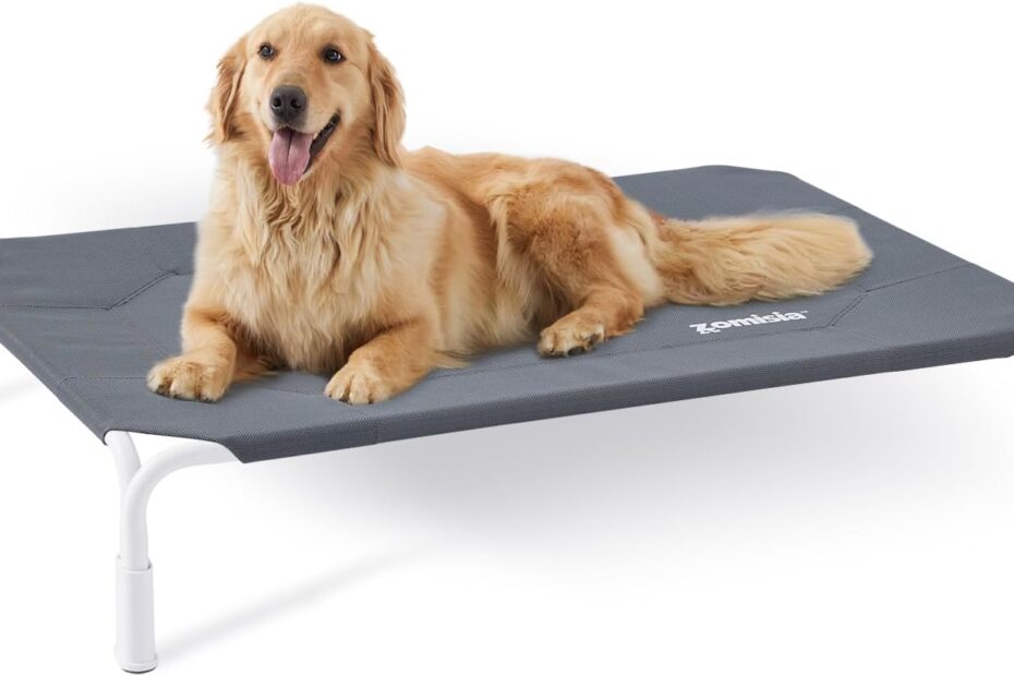 Beat the Heat: The Ultimate Elevated Dog Cot Bed Review