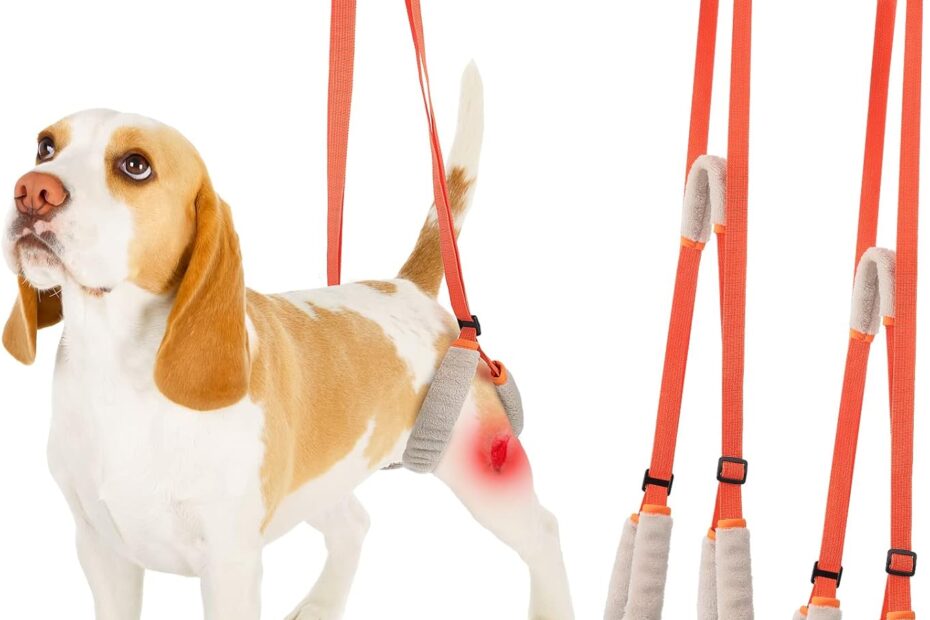 Boost Your Pup's Mobility: The Mixweer Dog Support Harness Reviewed!