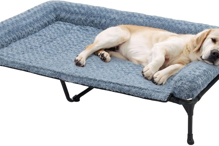 Chill in Style: Review of the Veehoo Cooling Elevated Dog Bed with Plush Bolster