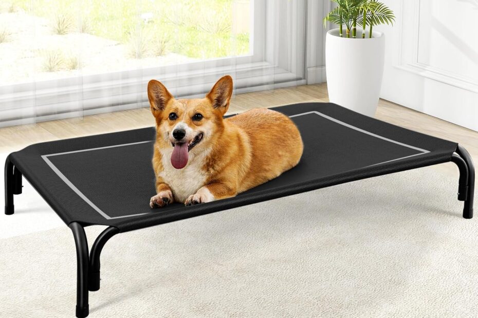 Chill in Style: The Ultimate Elevated Dog Bed for Your Medium-Sized Pup!