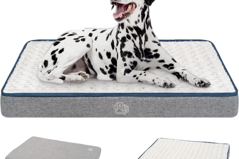 Comfort and Versatility: EMPSIGN Reversible Dog Bed Review
