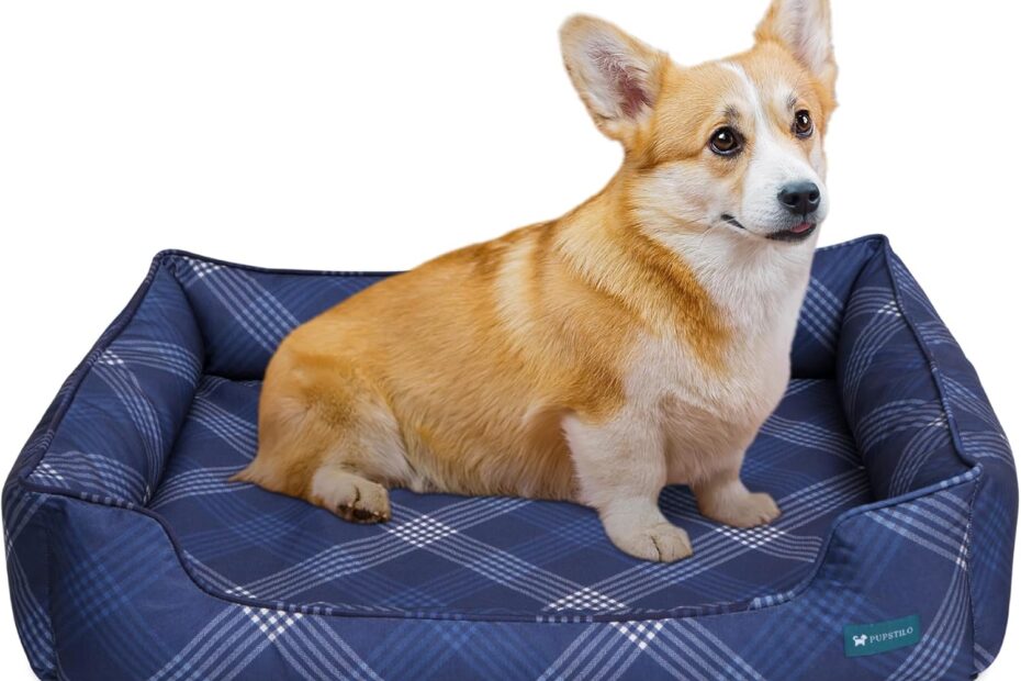 Comfort Meets Style: Review of the Orthopedic Bolster Dog Bed