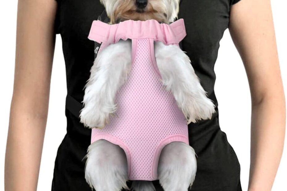 Comfortable Adventures: The YUDODO Adjustable Pet Backpack for Outdoor Fun!