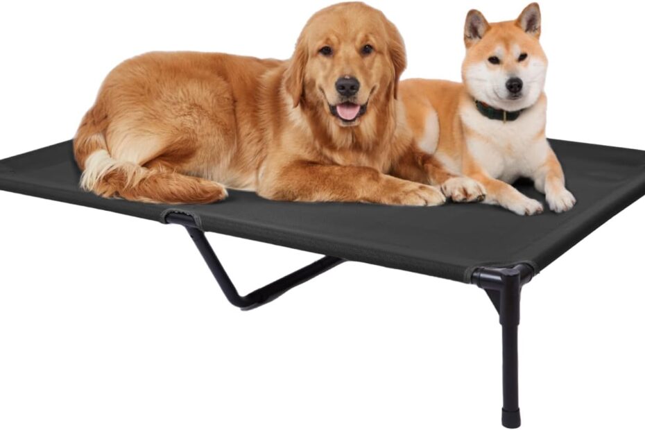 Cool Comfort: Review of Pettycare's Elevated Outdoor Dog Bed for Large Breeds