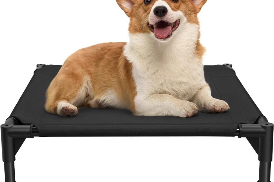 Cool Comfort: Reviewing the Love&go Elevated Dog Bed for Happy Pets!