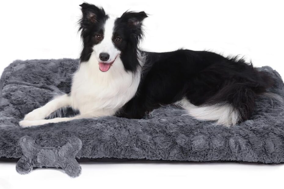 Cozy Canine Retreat: Review of the Fluffy Dog Bed & Squeaky Toy!