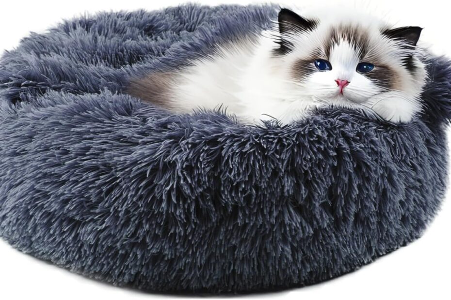 Cozy Comfort: A Review of Himax Donut Dog Beds for Small Pups