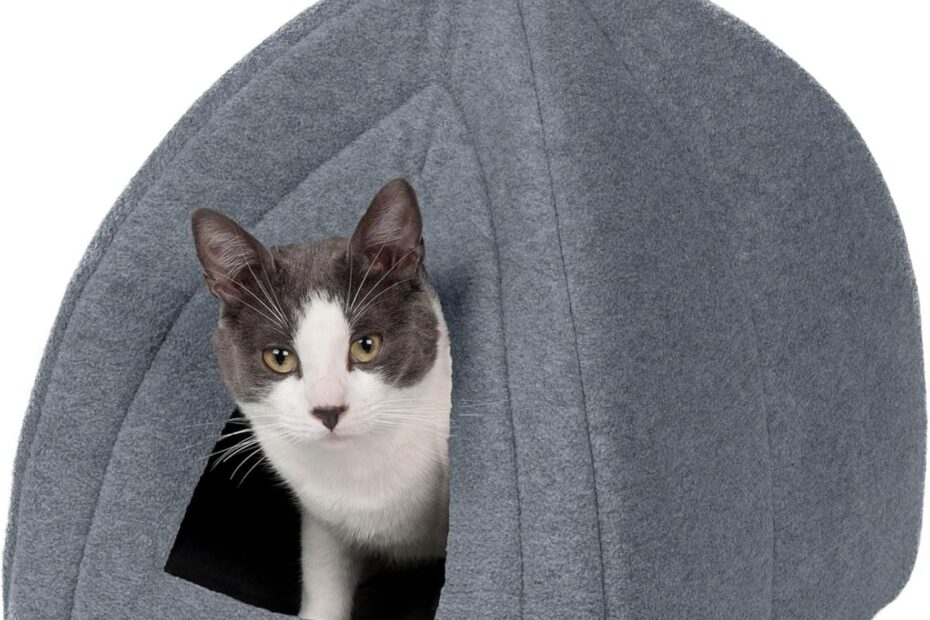 Cozy Comfort: A Review of the Furhaven Cat Bed Cave for Your Furry Friends