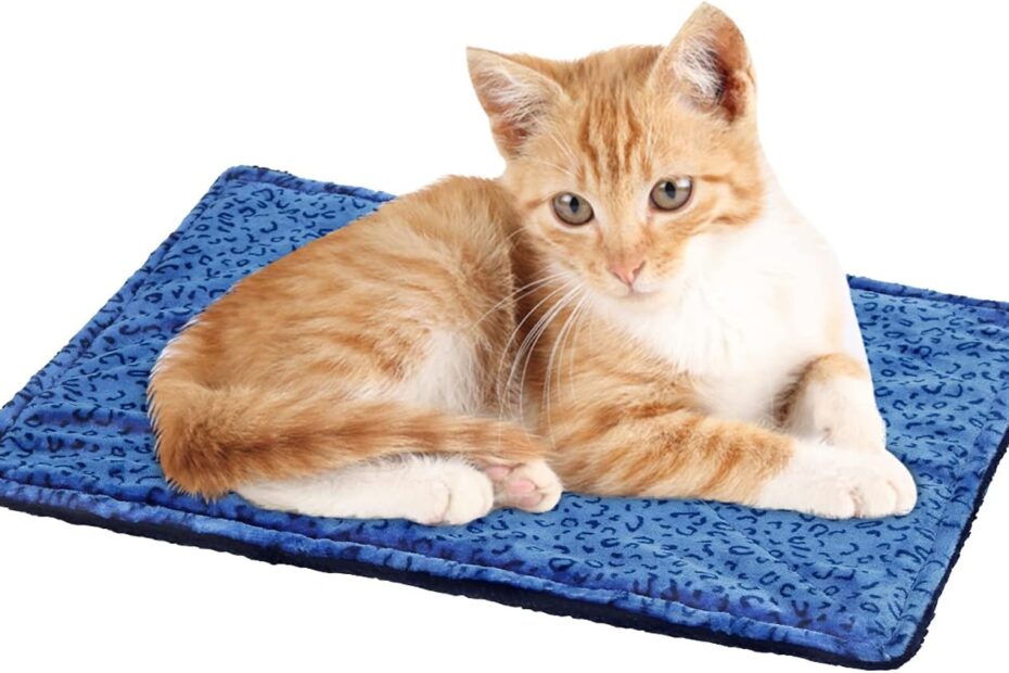 Cozy Comfort: A Review of the MARUNDA Self Warming Cat and Dog Bed