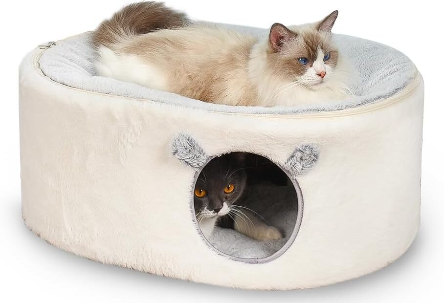 Cozy Comfort for Your Feline: The Ultimate Indoor Cat Bed Review