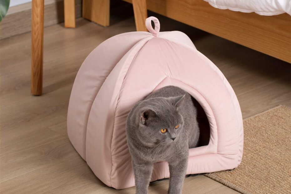 Cozy Comfort: KASENTEX 2-in-1 Cat Bed Review for Your Feline Friends!